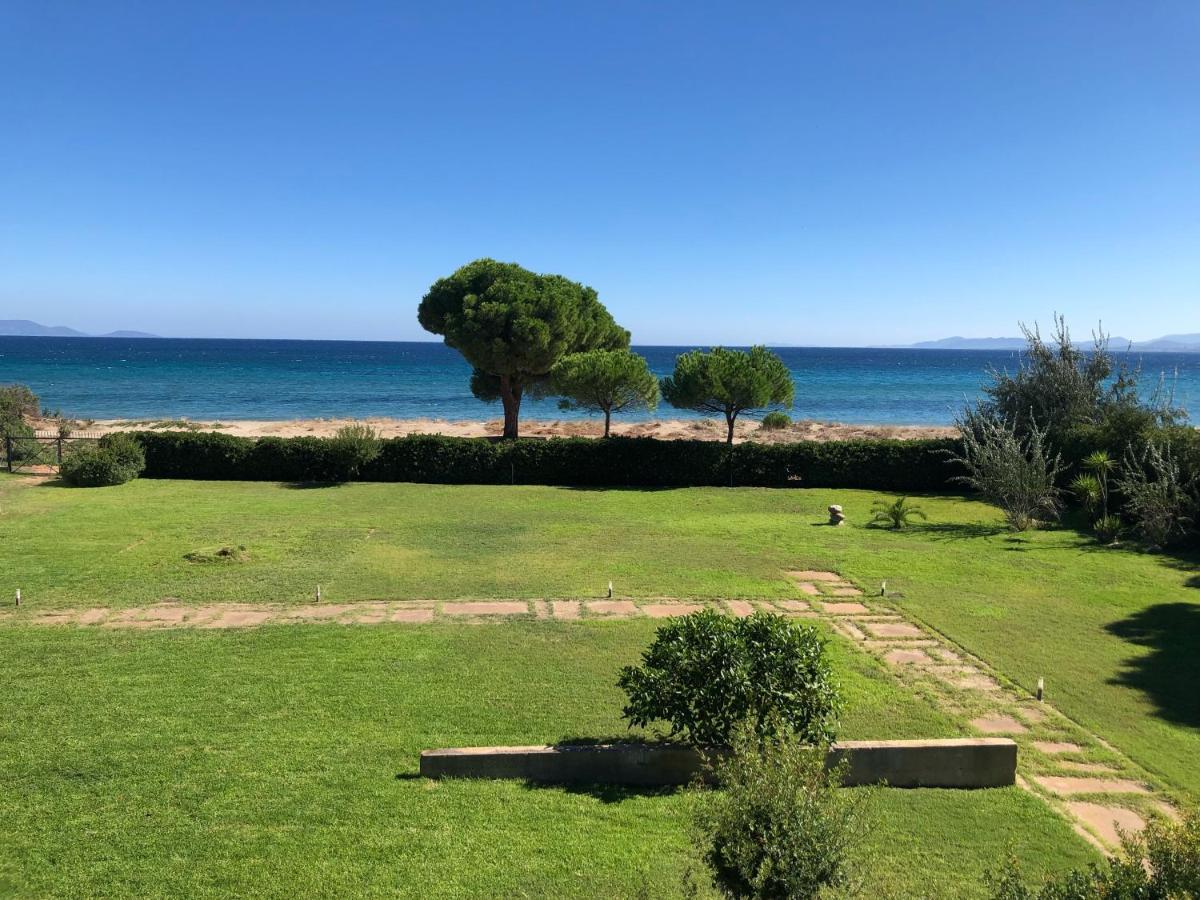 Beachfront Villa Hoopoe Schinias, Marathon Dış mekan fotoğraf