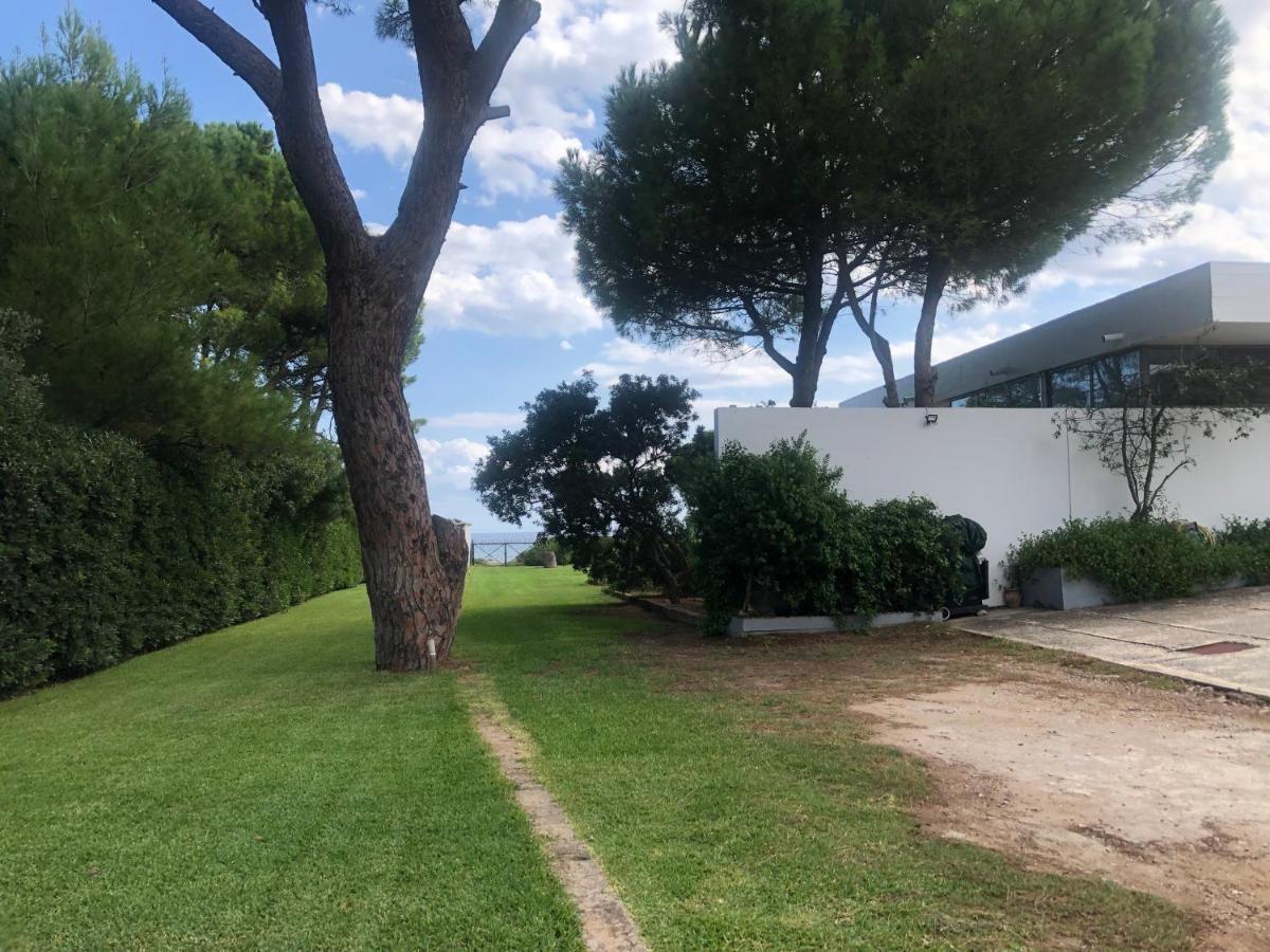 Beachfront Villa Hoopoe Schinias, Marathon Dış mekan fotoğraf