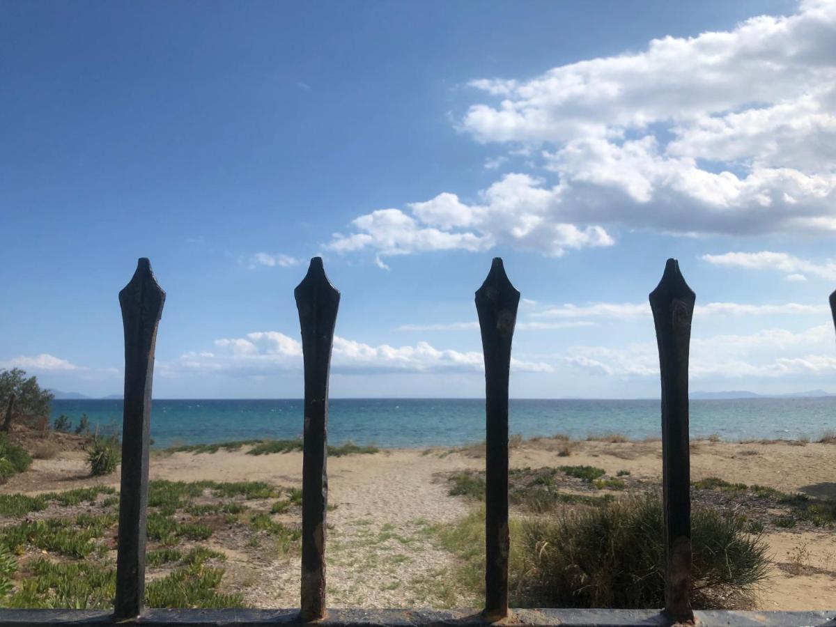 Beachfront Villa Hoopoe Schinias, Marathon Dış mekan fotoğraf