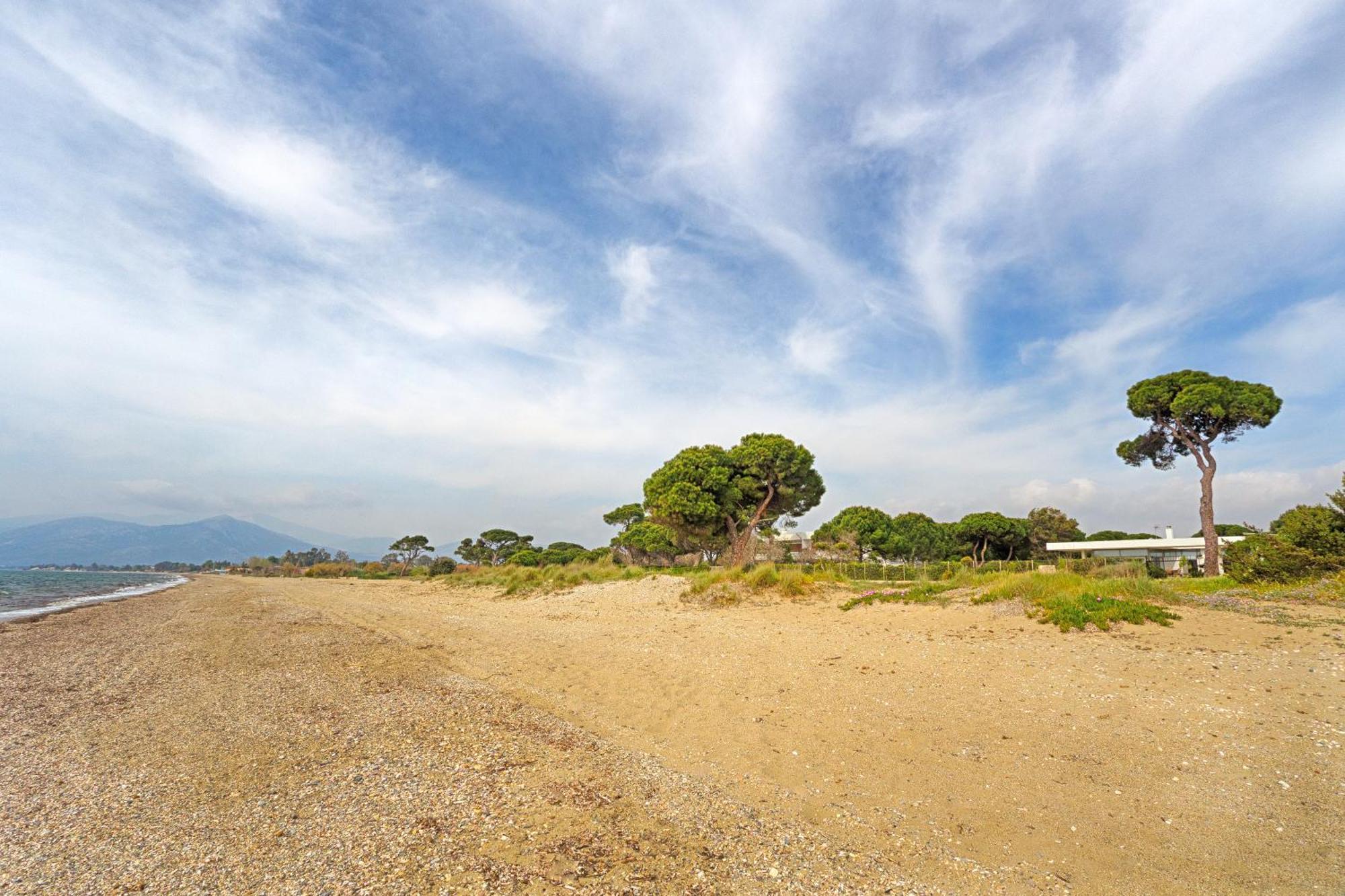 Beachfront Villa Hoopoe Schinias, Marathon Dış mekan fotoğraf